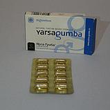 Виагра для потенции мужчин Yarsagumba ОРИГИНАЛ, фото 3
