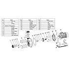 Насос Aqualine LX WTB400T (380В, 80 м3/ч, 5.5HP), фото 4