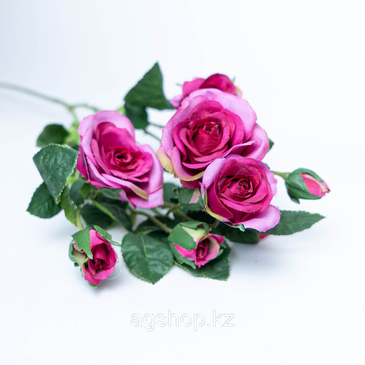 Розы розовые - фото 1 - id-p96028958