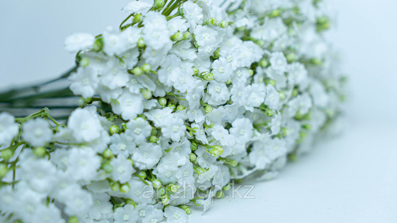 Полевые цветы белые - фото 2 - id-p96028967