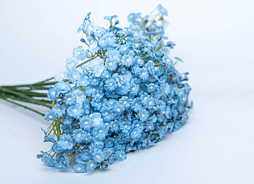 Полевые цветы синие