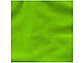 Куртка флисовая Brossard женская, зеленое яблоко, фото 7