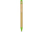 Ручка шариковая Salvador, натуральный/зеленый, черные чернила, фото 2