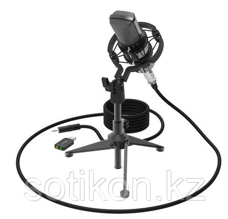 Студийный микрофон Ritmix RDM-160 черный, фото 2
