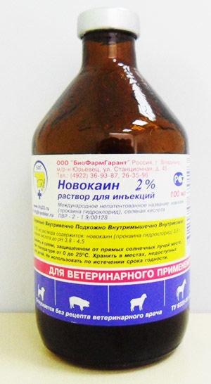 Новокаин 400 Мл Купить