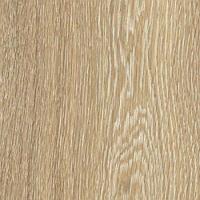 Ламинат Кастомону | 32 класс | 8 мм | без фаской | FP16 Дуб Каньон Кремовый