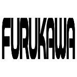 Топливный фильтр тонкой очистки FLEETGUARD FF5019, фото 8