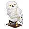 Игрушка Harry Potter Сова Гарри Букля 6061829, фото 3