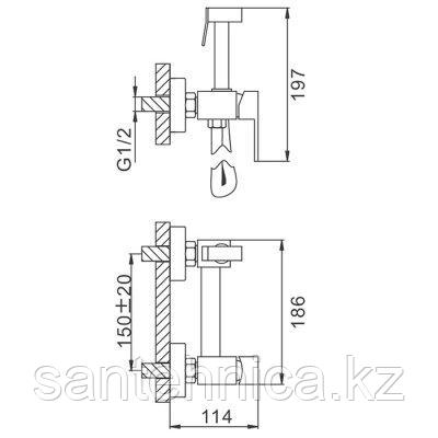 Смеситель с гигиеническим душем Frap F7504-5 сатин, фото 2