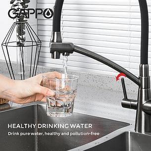 GAPPO G4398-19 Смеситель д/кухни с питьевым краном оруж. сталь, фото 3