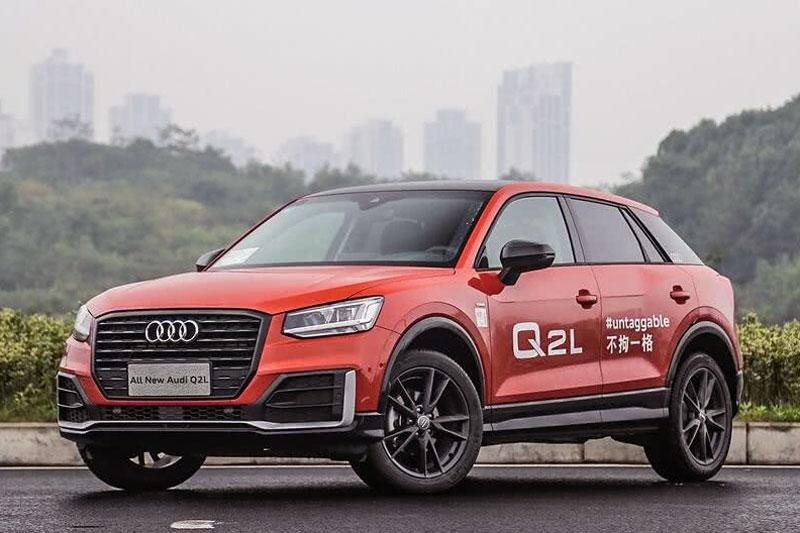 Доводчик дверей (присоски) для Audi Q2L (2018-2020)