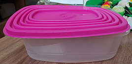 Уценка (товар с небольшим дефектом) Герметичные контейнеры Always fresh (B009/2)