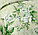 Королевское искушение Комплект постельного белья "Белый сад"  1.5 спальный , перкаль ТексДизайн(Россия), фото 3