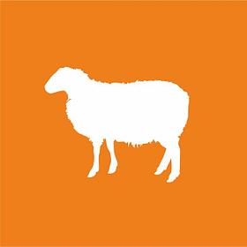Корма для коз, овец