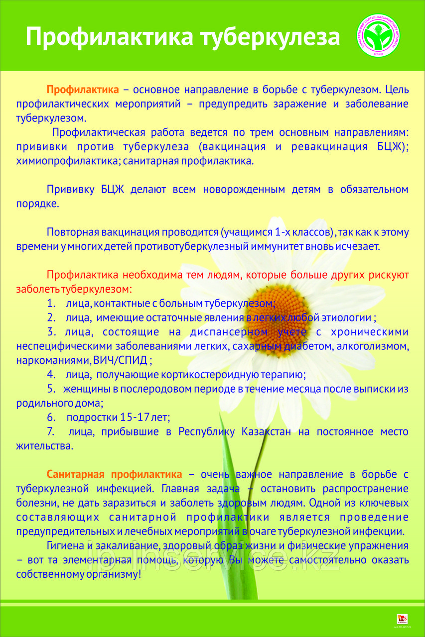 Профилактика ТУБЕРКУЛЕЗА