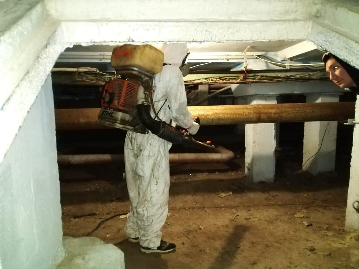 Дезинфекция подвала. Дезинфекция подвальных помещений. Дезинфекция подъездов. Дератизация подвала. Дезинфекция подъездов в подмосковье от коронавируса.