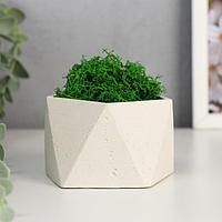 Кашпо бетонное "Пятиугольник" высота 5,5 см белое со мхом (мох зеленый стабилизированный)