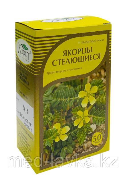 Сексуалдық әйел өзінің алдыңғы ер адамын алдайды