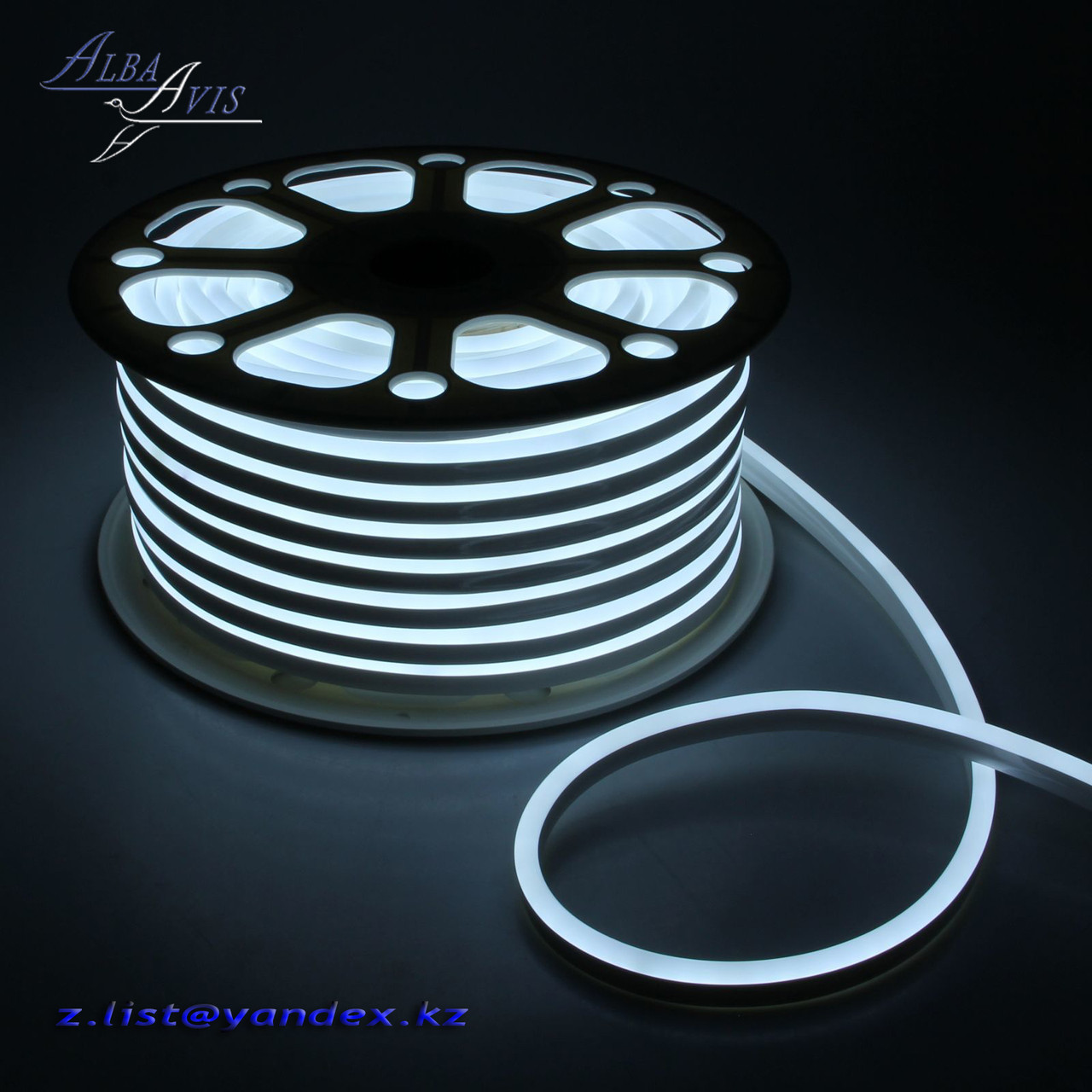 Холодный неон белый 220В 24*12 мм Flex LED Neon белый