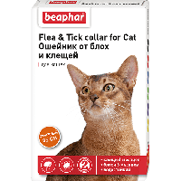 FLC Cat (Diaz Cat) Ошейник от блох и клещей для кошек оранжевый., 35 см