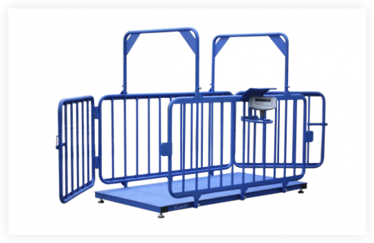 Весы для взвешивания животных Невские весы ВСП4-1000.2ЖСО9 (2000x1000)