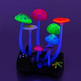 Декорация для аквариума грибы, светится в темноте и при ультрафиолете, фото 2