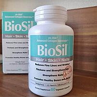 BioSil от Natural Factors, ch-OSA 60 таб., фото 3