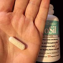 BioSil от Natural Factors, ch-OSA 60 таб., фото 4