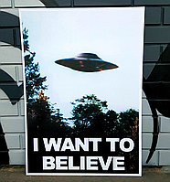 Постер I want to believe - Секретные материалы