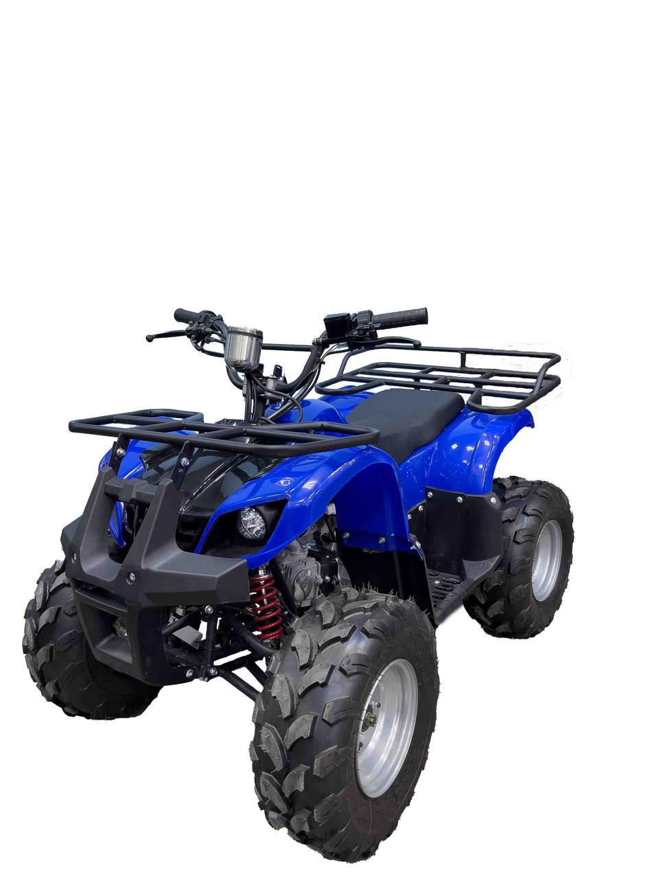 Квадроцикл детский ATV Vicoo 110cc арт. VAT1101 цвет: синий - фото 1 - id-p93156517