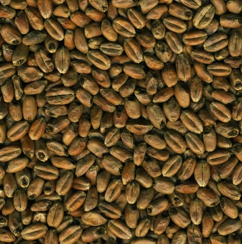 Солод пшеничный пивоваренный поджаренный "Mroost Wheat MD"(DINGEMANS, Бельгия) по 25 кг - фото 1 - id-p96341969