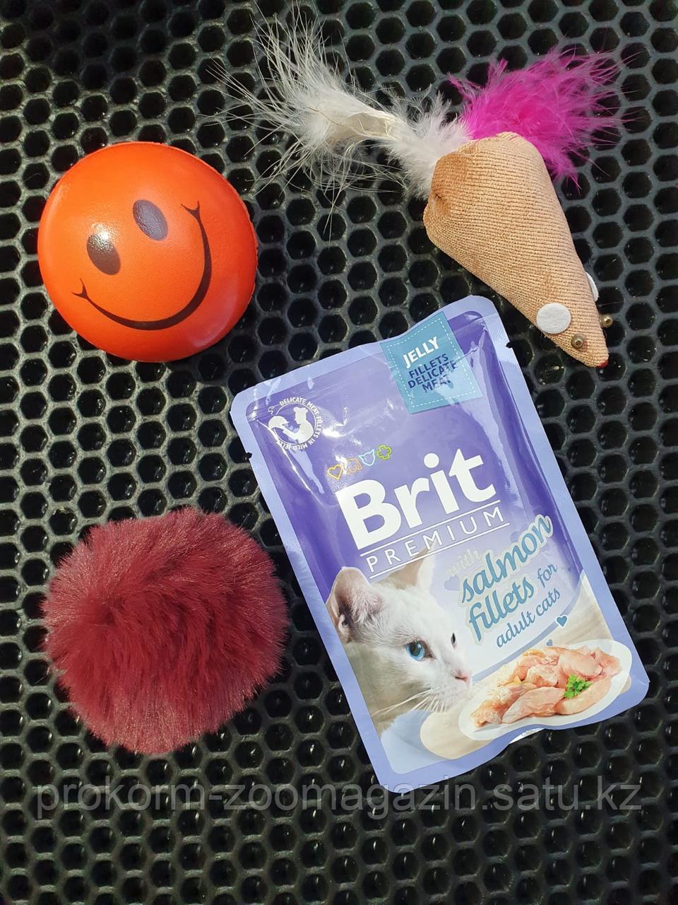 BRIT Premium ( Брит премиум) для кошек с лососем в желе, пауч 85 гр - фото 1 - id-p96363298