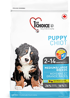 1st Choice Puppy сухой корм для щенков средних и крупных пород (с курицей) 2.72