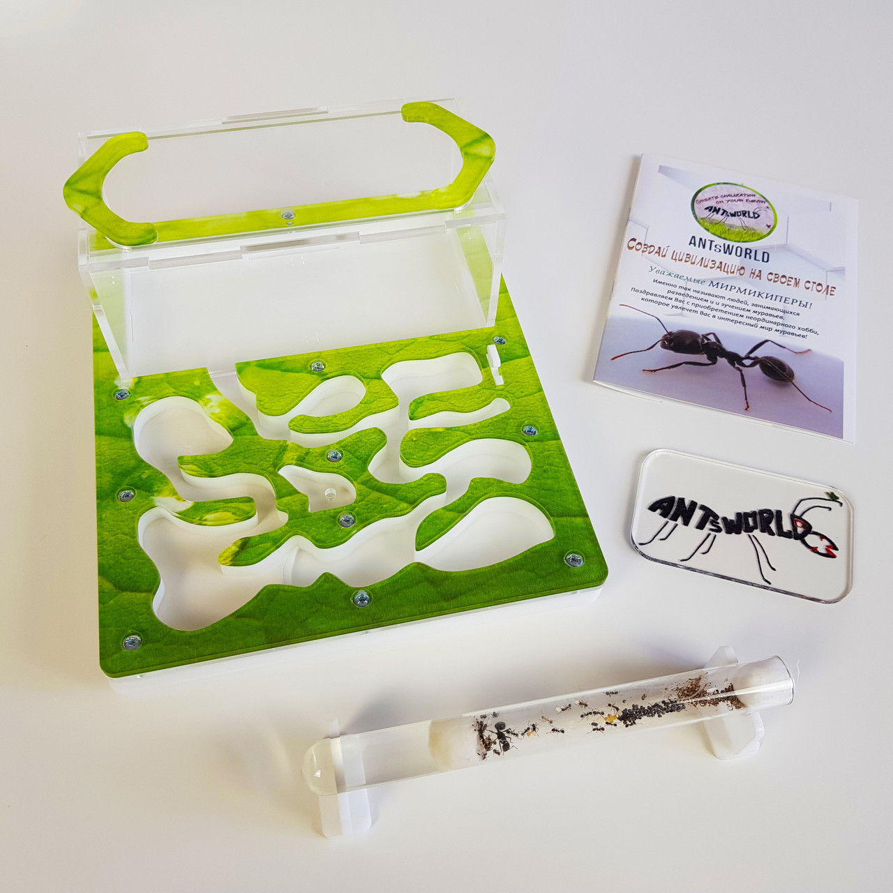 Ants World муравьиная ферма