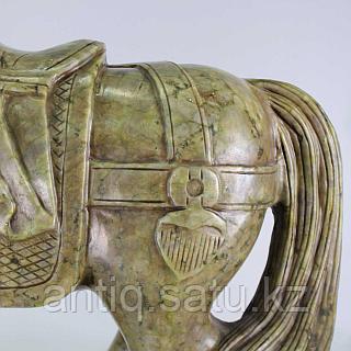 Үлкен жопа мен мүшесінің фотосы