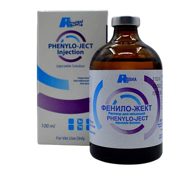 Душтағы мүшесінің фотосы Жалаңаш Екатерина Стриженова секс