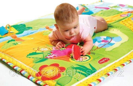 Tiny Love: Развивающий коврик Discovery Playmat 120220E001