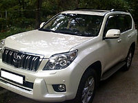 Защита фар SIM для Land Cruiser Prado 150