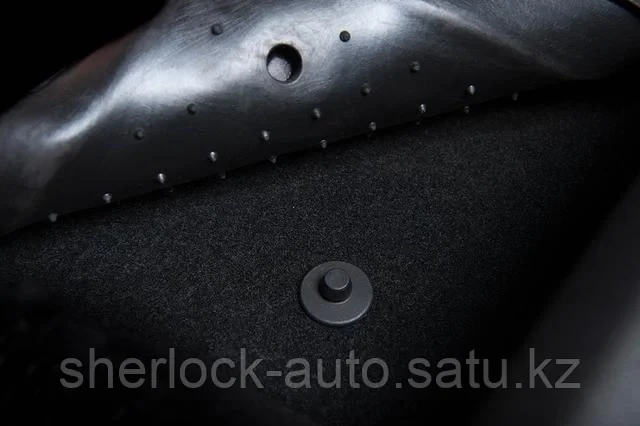 Коврики в салон Lexus NX 2014+ (Высокий борт) - фото 6 - id-p37885723