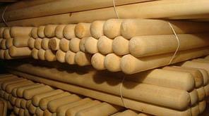 Черенок класс “А” 120 см