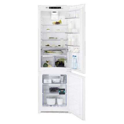 RNT 6TF 18S1 : встр.холодильник, фото 2