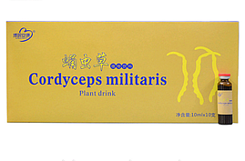 Жидкий кордицепс Cordyceps Militaris Plant Drink натуральный препарат для иммунитета широкого спектра 10шт.