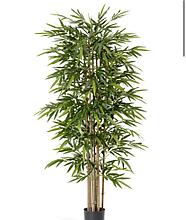 Бамбук Новый 180 см