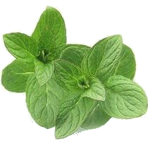 Ароматизатор Мята