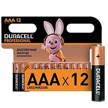 Батарейки DURACELL Professional ААА/LR03 бл/12шт