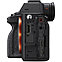 Фотоаппарат Sony Alpha A7 IV Body рус меню, фото 4