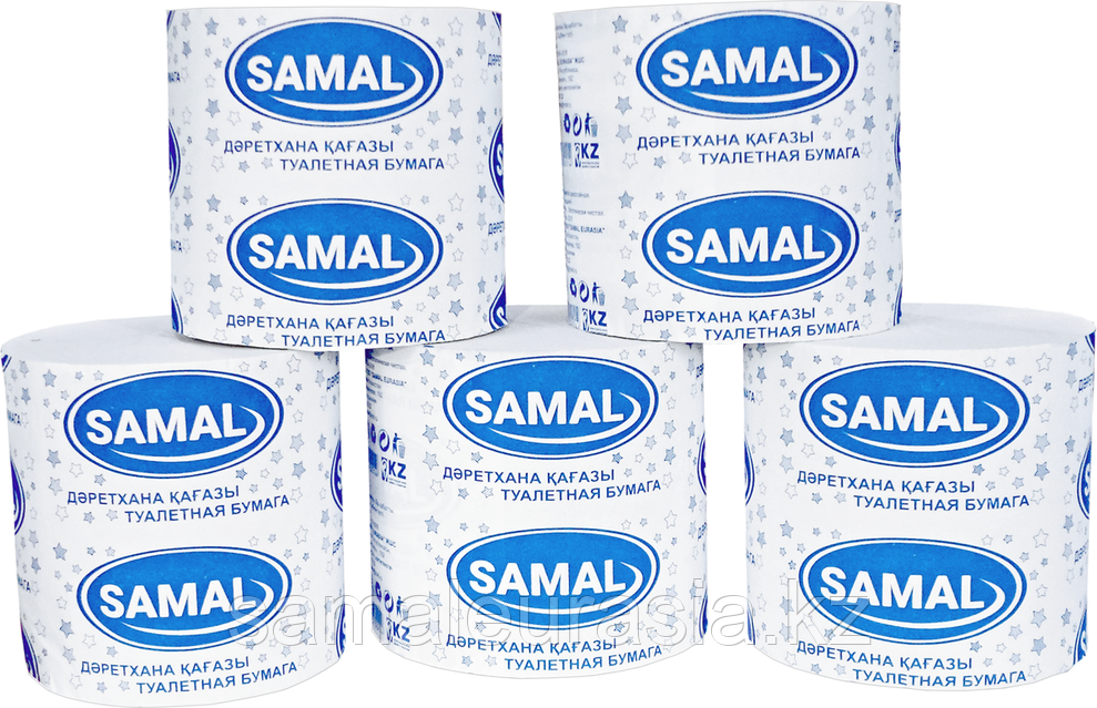 Қазақша дәретхана жасырын камера