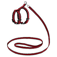 Комплект Saival Classiс «Стрейфен» для кошек повод 10мм*1,2м красный
