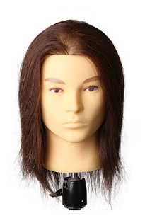 Голова-манекен мужской шатен (100%) - 40 см