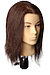Голова-манекен мужской шатен (100%) - 40 см, фото 3